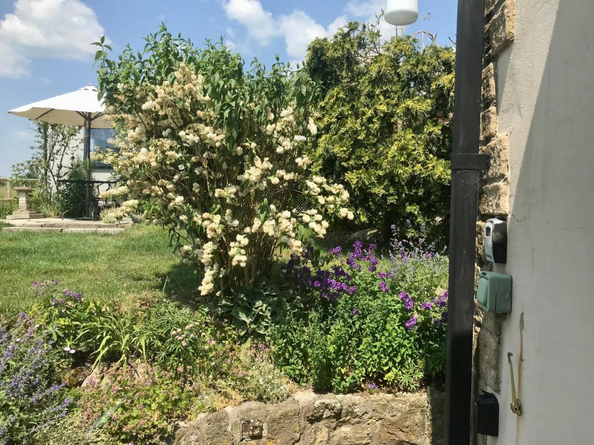 Charming Modernized Country Cottage Near Mere, Wiltshire Mere  Kültér fotó